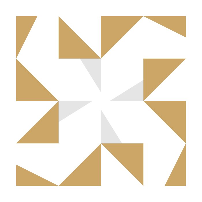 Incredible Silk Gloves